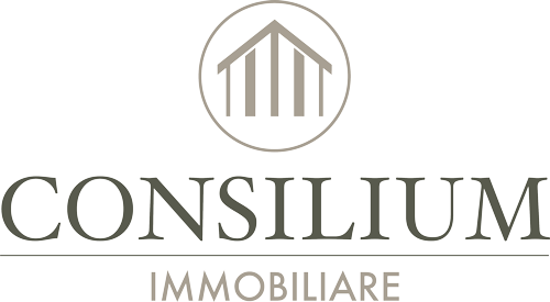 consilium_logo